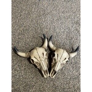 Bull Skulls with Horns Decorative Wall Art Set of 2 Home Decor